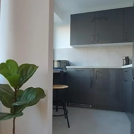 Apartament Przy Basenie Katowice Exterior photo