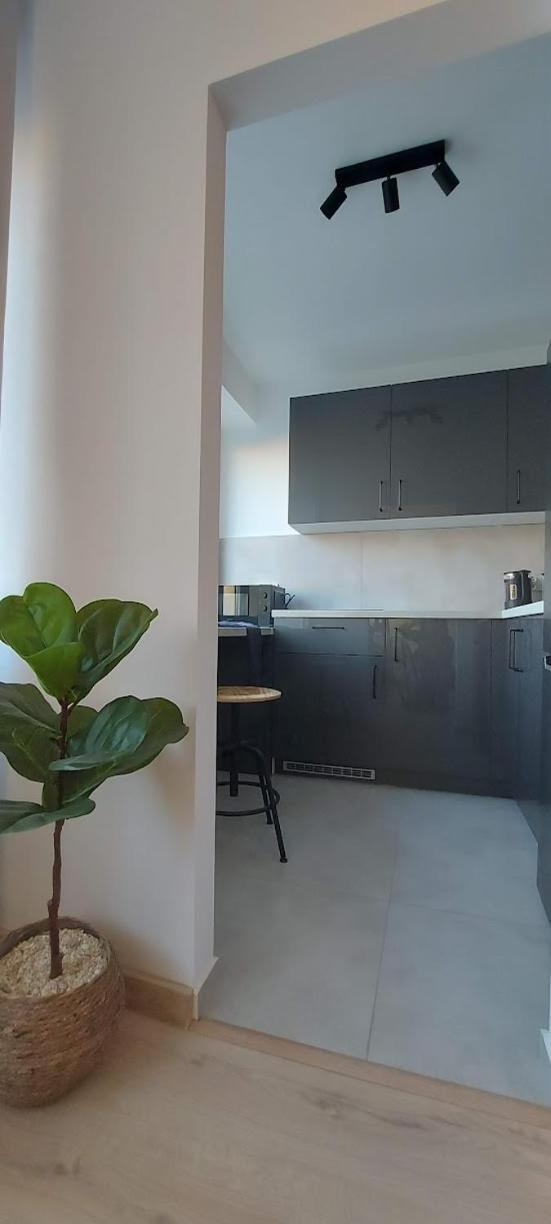 Przy Basenie Apartment